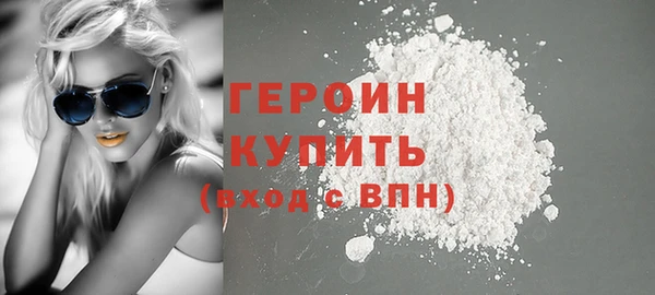 гидра Няндома