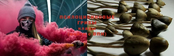 ГАЛЛЮЦИНОГЕННЫЕ ГРИБЫ Билибино