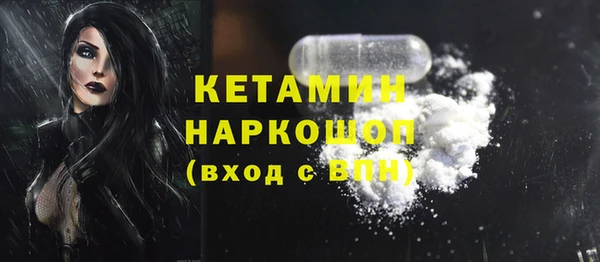 гидра Няндома