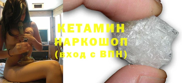 гидра Няндома