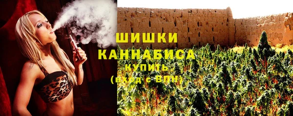 гидра Няндома