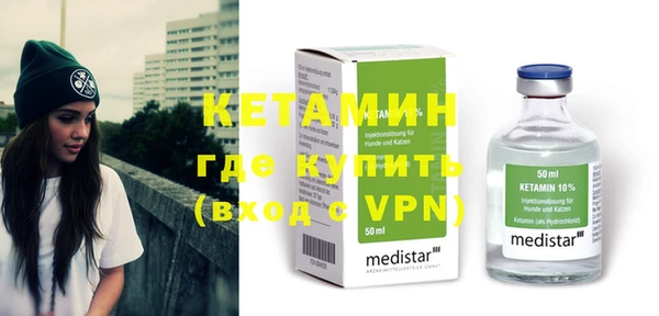гидра Няндома