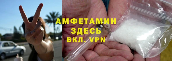 гидра Няндома