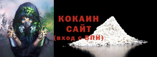 дмт Нягань