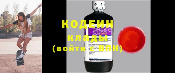 гидра Няндома