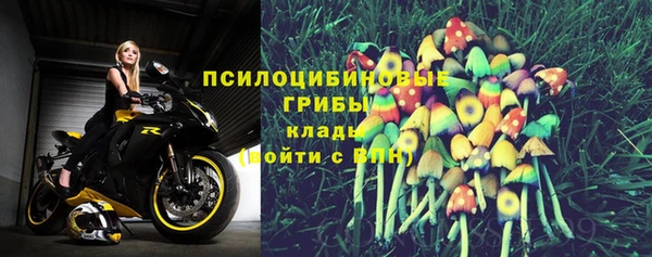 дурь Нязепетровск