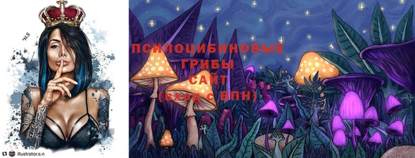 дурь Нязепетровск