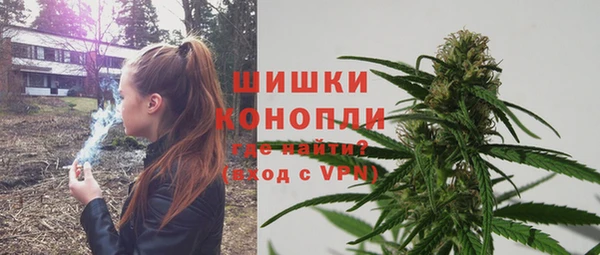 дмт Нягань