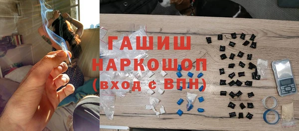 гидра Няндома