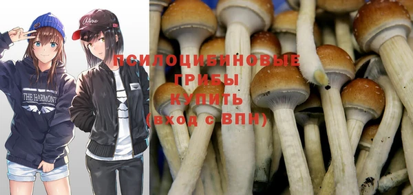 дурь Нязепетровск