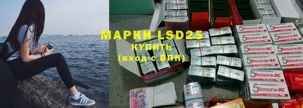 ГАЛЛЮЦИНОГЕННЫЕ ГРИБЫ Билибино