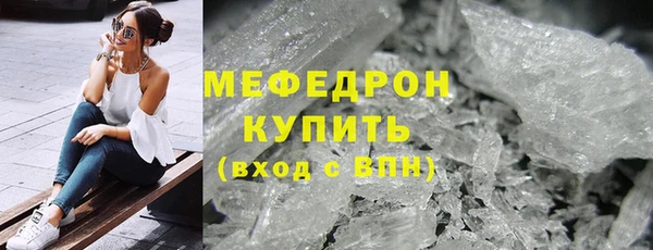 гидра Няндома