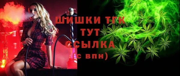 гидра Няндома