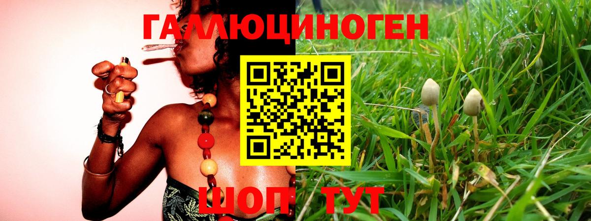 Чусовой  Псилоцибиновые грибы мицелий  Вход с VPN  Псилоцибиновые грибы Psilocybe 
